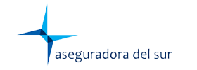 Logo Seguros del Sur